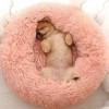Blanket Sofa Bed | Dog Beds